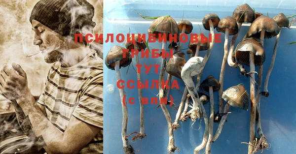 каннабис Армянск