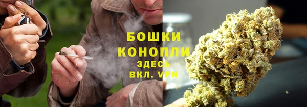 apvp Арсеньев